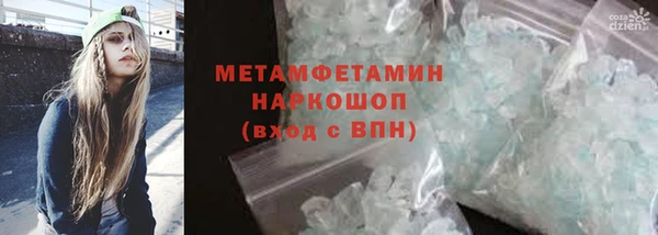 сатива Сатка